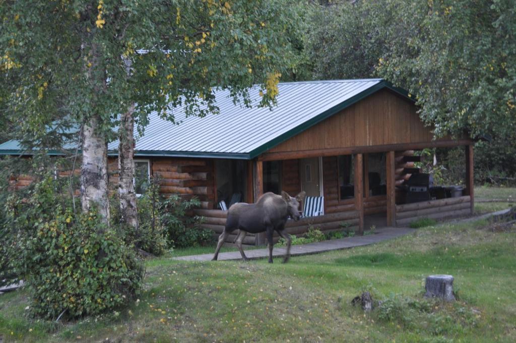 Daniels Lake Lodge Cabins Nikiski Room photo