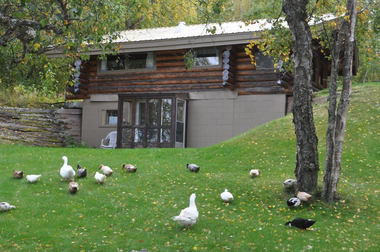 Daniels Lake Lodge Cabins Nikiski Exterior photo